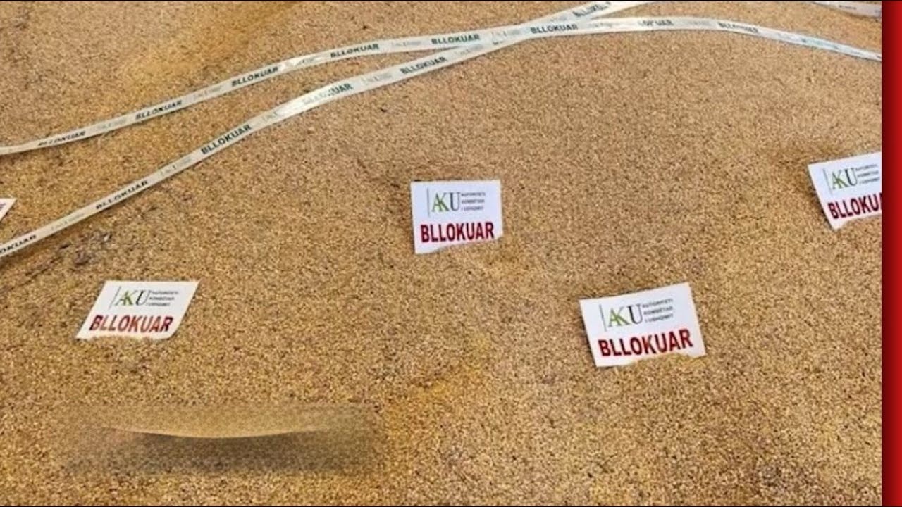Bllokohen 51 ton misër me aflatoksinë nga Serbia