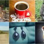 Ngjarjet e çuditshme që ndodhën në botë në vitin 2025 zbukuruan titujt kryesorë në media