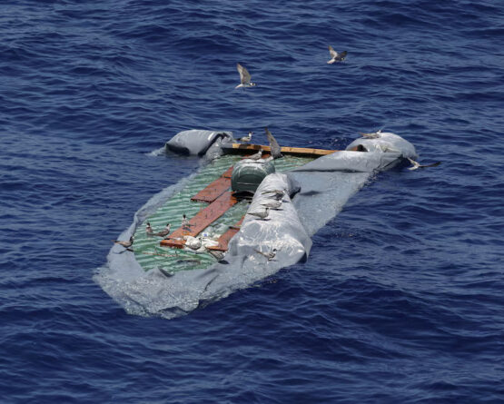 Mbi 8000 njerëz humbën jetën në 2025-ën duke emigruar