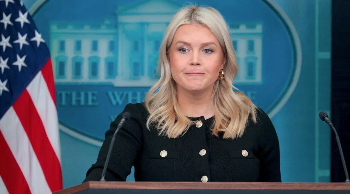 “Nëse duhet kartë identiteti për të marrë libër në bibliotekë, duhet edhe për të votuar” – Leavitt