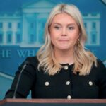 “Nëse duhet kartë identiteti për të marrë libër në bibliotekë, duhet edhe për të votuar” – Leavitt