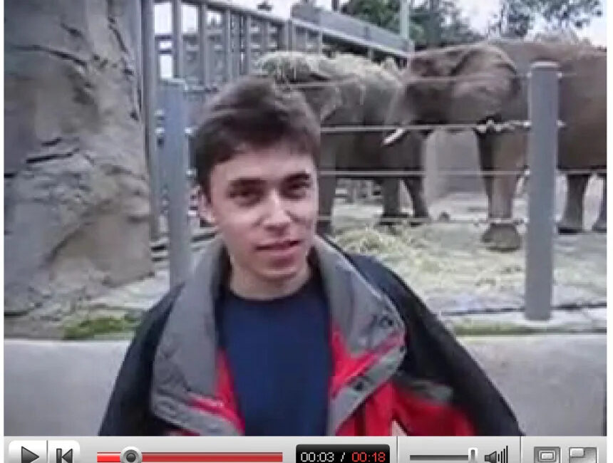 Videoja e parë në YouTube mund të përfundojë në muze