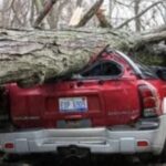 Tornadot godasin SHBA-në, të paktën gjashtë të vdekur dhe dhjetëra të plagosur