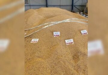 AKU e bllokoi, zhduket nga magazina 94.5 ton misër i bllokuar me aflatoksinë