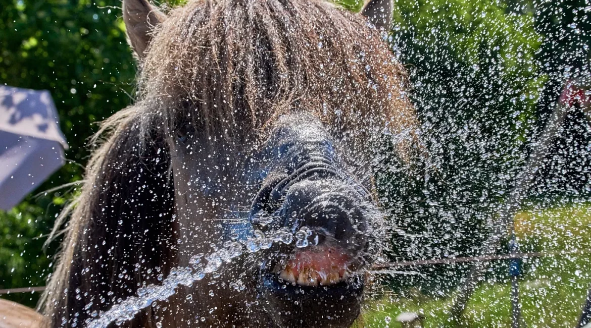 Gjermania shënon rekord të ri temperaturash mes valës ekstreme të të nxehtit në Evropë